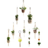 Macrame Plant Hanger - Hanging Plant Holder