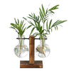 Hydroponic Transparent Plant Vases for Indoor