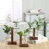 Hydroponic Transparent Plant Vases for Indoor