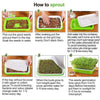 Load image into Gallery viewer, how to grow microgreens in trays - PapaLiving