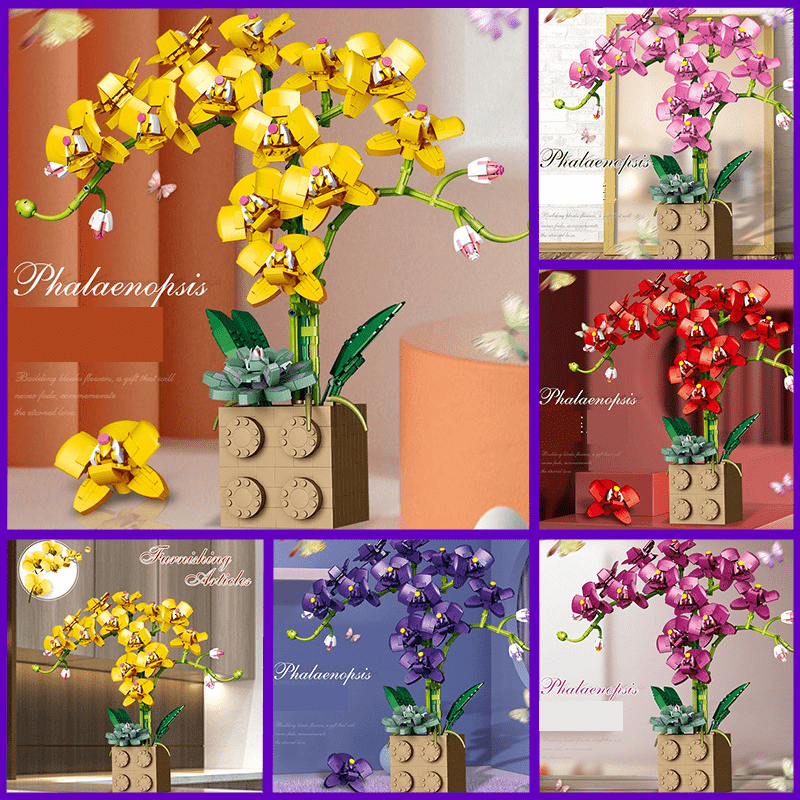Orchid Building Block Bouquet