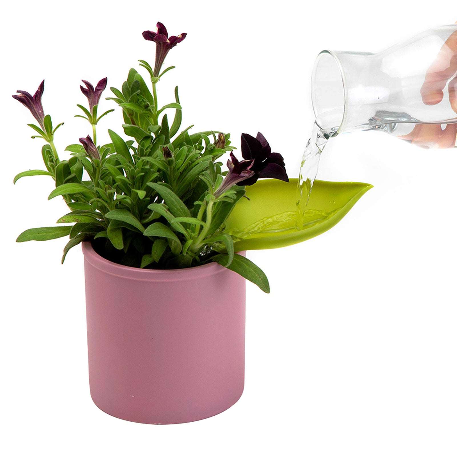 Plant Water Funnel by PapaLiving