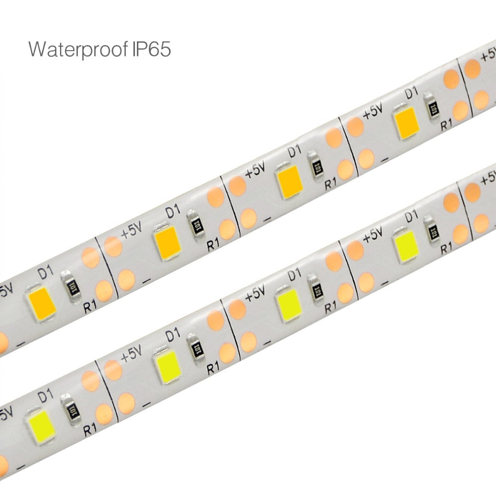 LED Motion Sensor Strip Lights-Papa Living