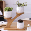 Load image into Gallery viewer, Succulent Pots &amp; Bamboo Shelf