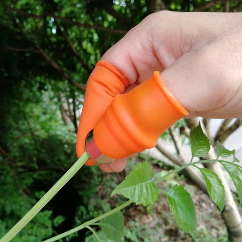 Thumb Cutter - Finger Cover