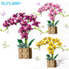 Orchid Building Block Bouquet