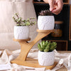 Load image into Gallery viewer, Succulent Pots &amp; Bamboo Shelf